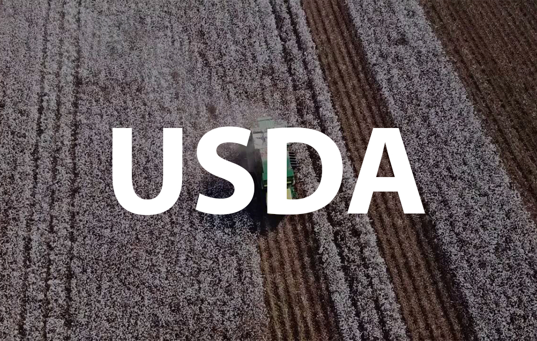 USDA Cotton Program logo