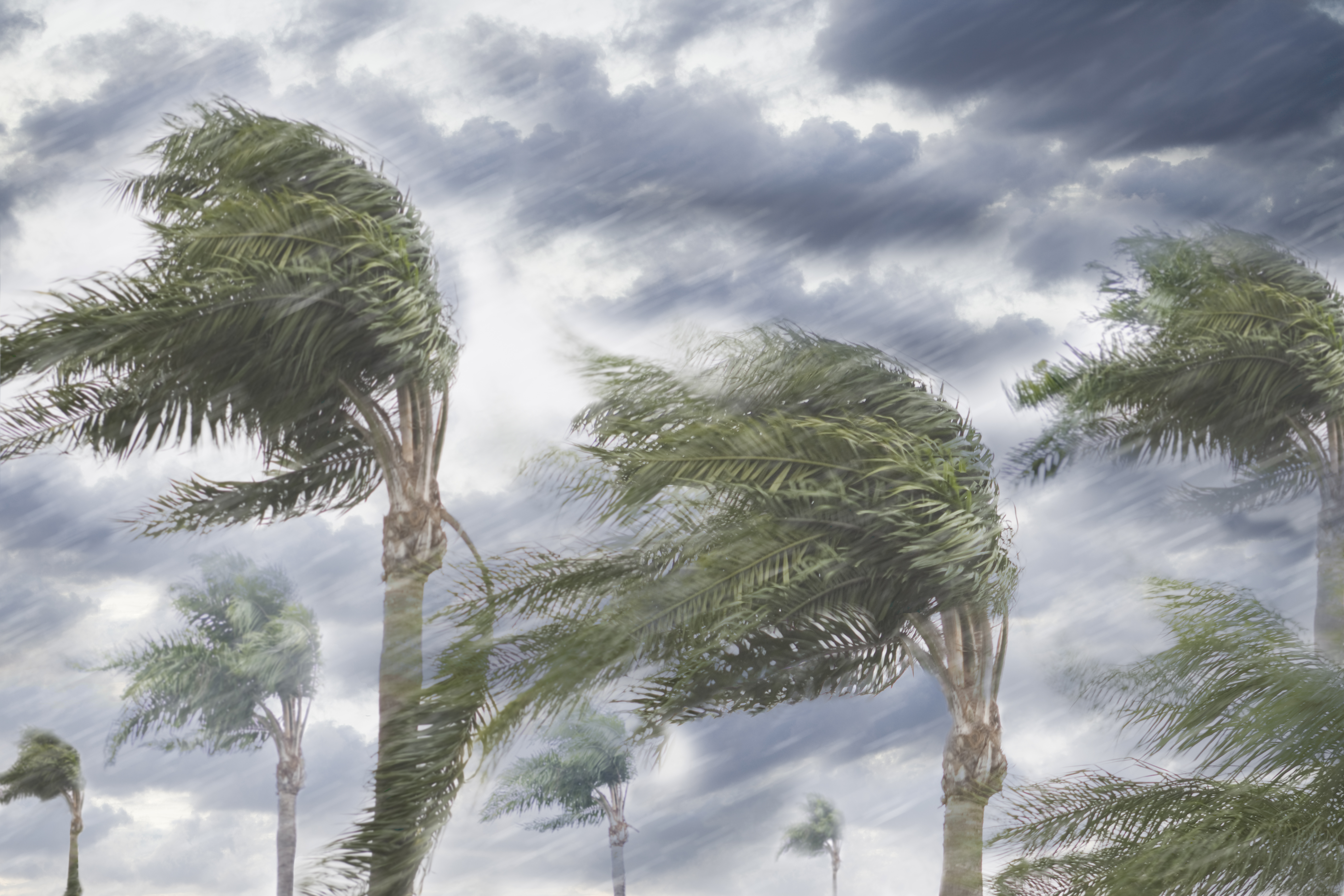 Verisk, aided by TIBCO Spotfire, Protects Insurers from Weather-Related Claims Fraud